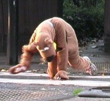 scoobydooWeb