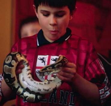 snakes-400