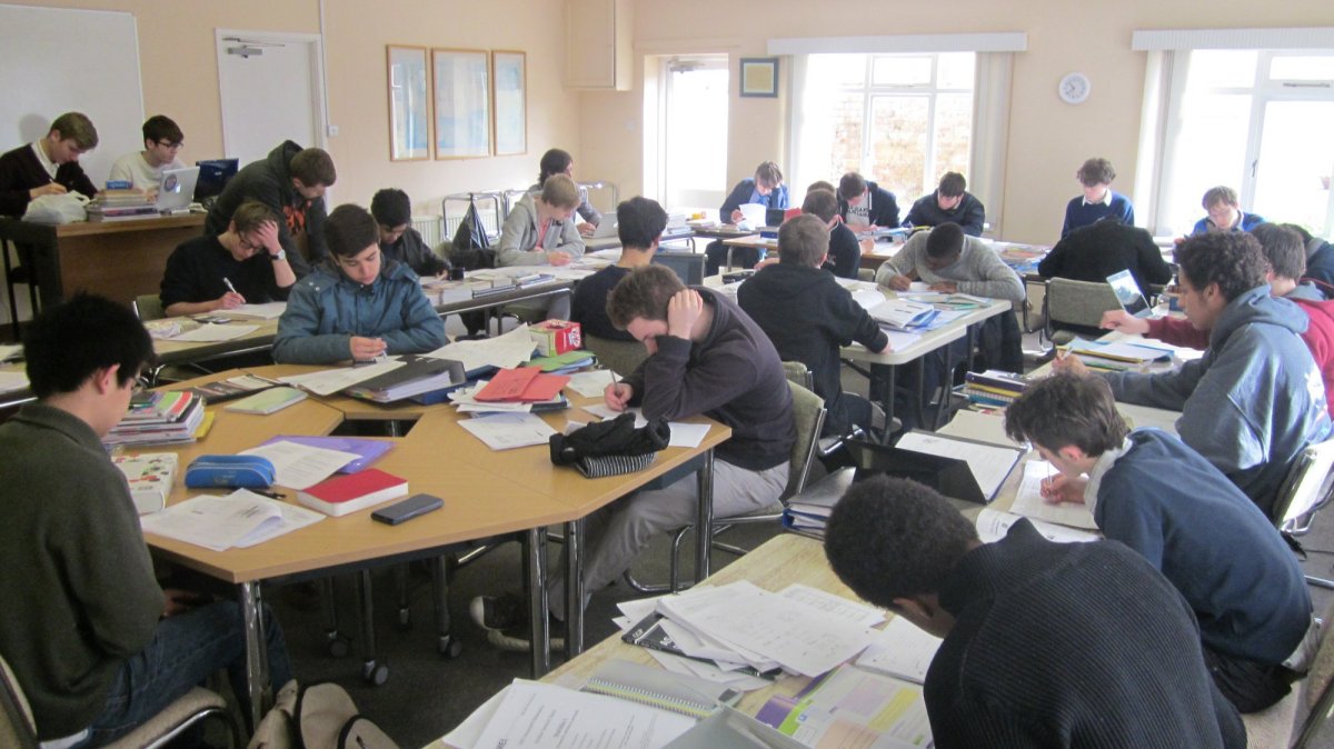 studyweek1
